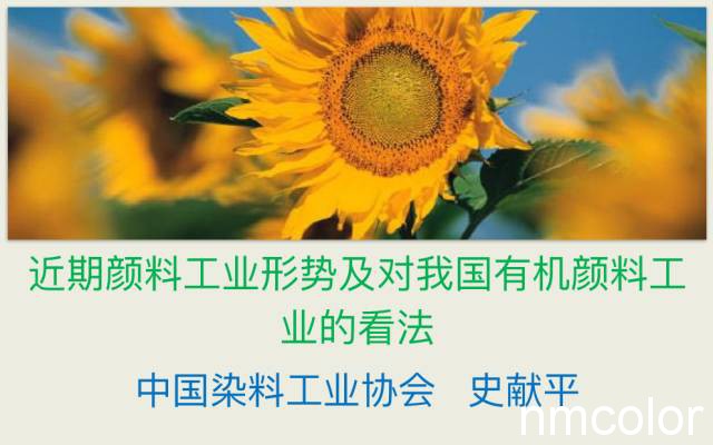 水性色浆,色浆颜色,纺织色浆 水性色浆,色浆颜色,纺织色浆
