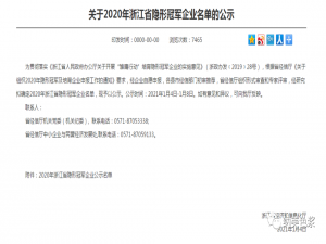 贺报！纳美入选2020年浙江隐形冠军企业