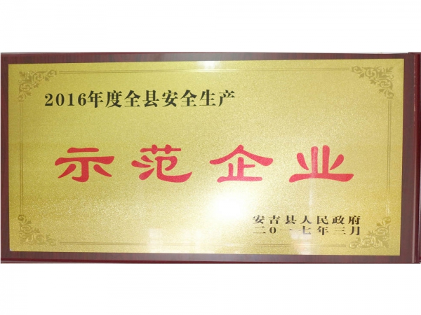 2016年度安全生产示范企业