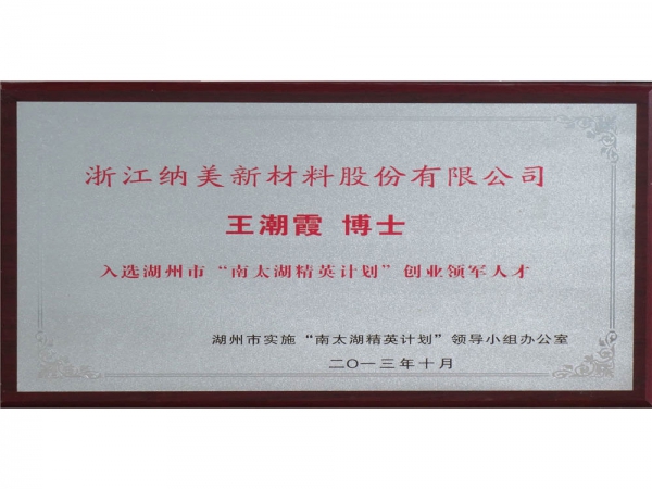 南太湖精英计划王潮霞博士